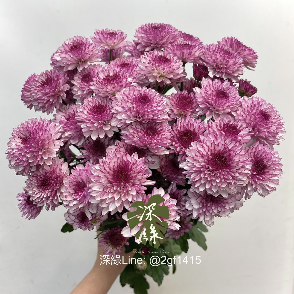 image_0013063F-A980-490A-9B3C-A346E046FEF4_1767668027