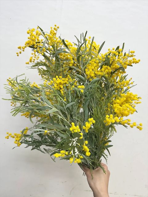 messageImage_1769931013295