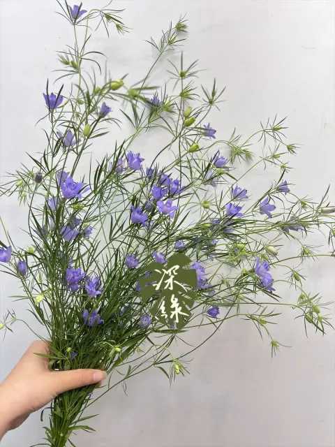 image_C3CC203B-6E34-4DF9-A65D-CF93F70277B3_1769660860