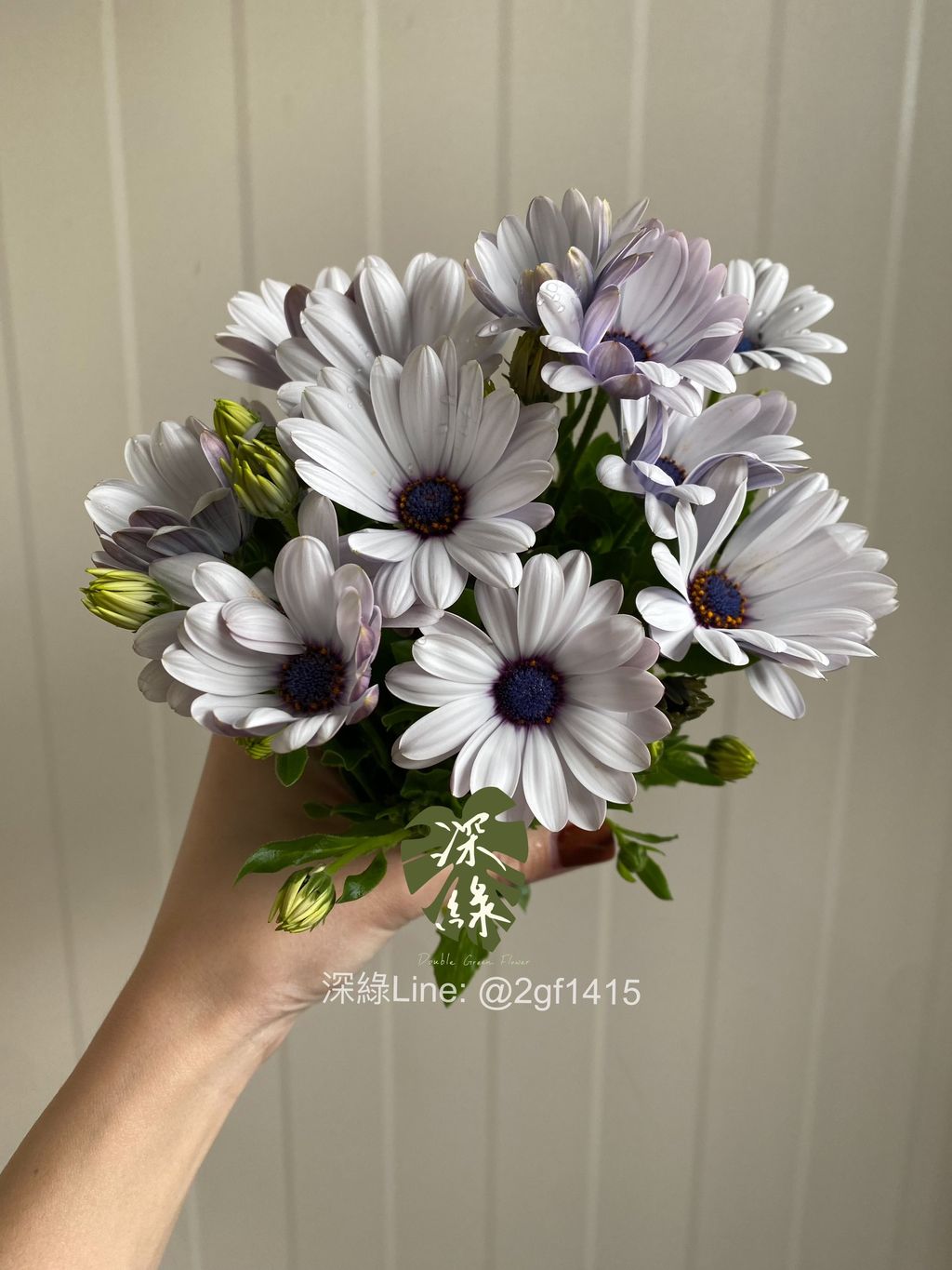 image_CA69EDD0-27A5-4FB4-A53B-56F172D2292C_1770015788