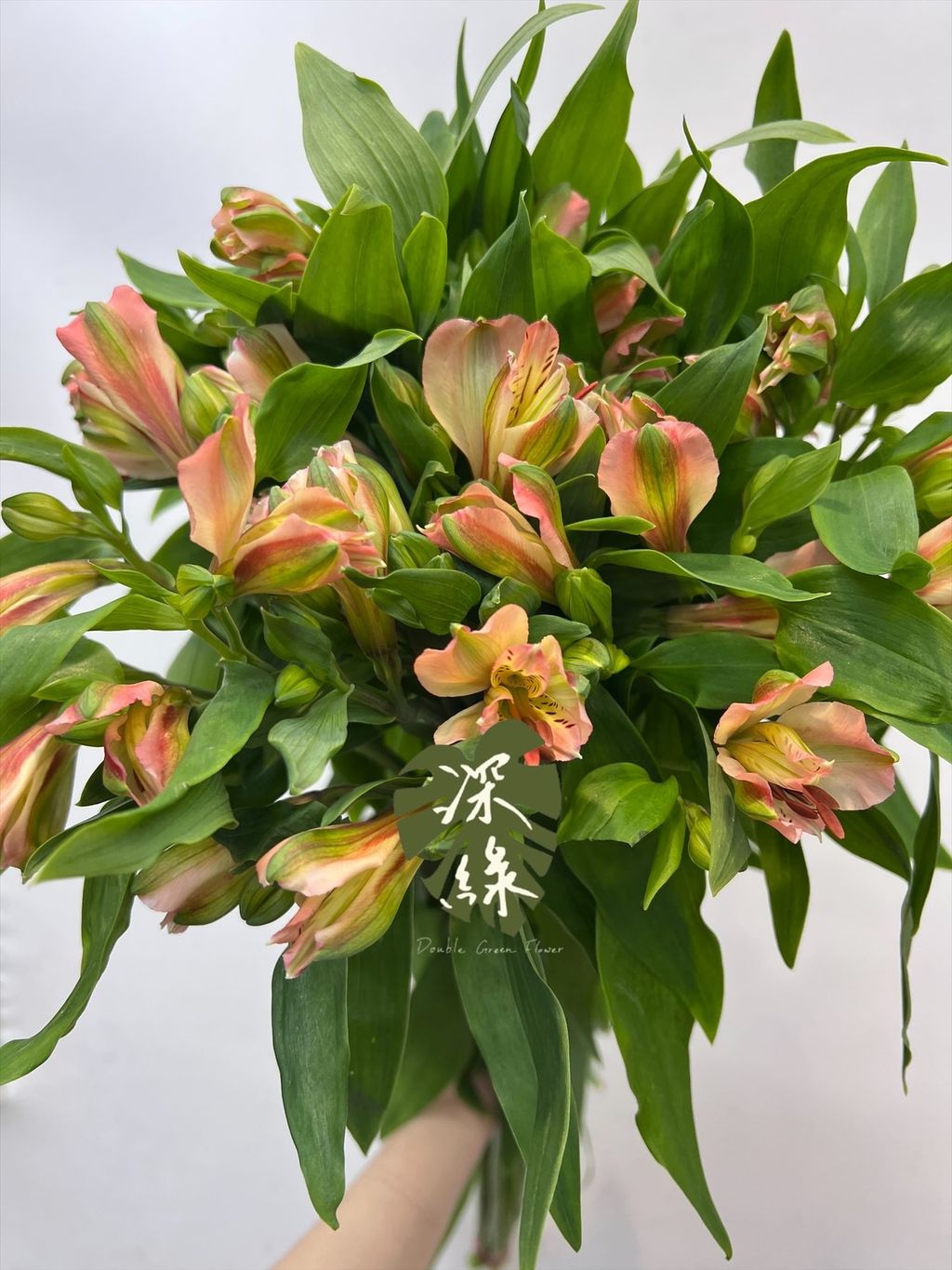 image_45FB9B01-2311-41B4-9A16-B1EB98708F1D_1770018490