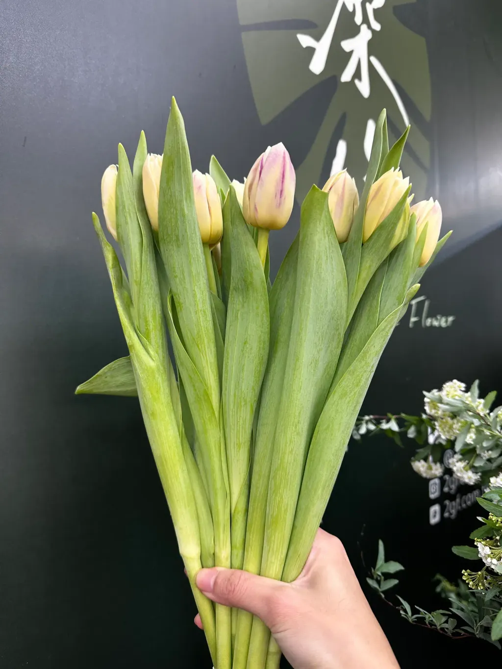 image_70612DFC-C693-43AC-B693-B6E74A62E7A3_1770013067