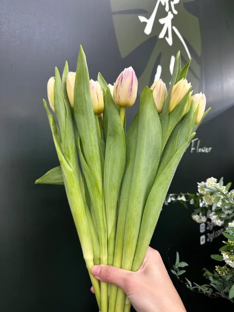 image_70612DFC-C693-43AC-B693-B6E74A62E7A3_1770013067