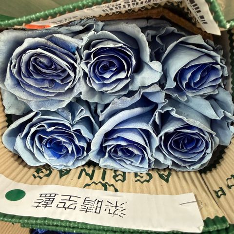 image_04F8195A-3258-4378-8495-8204E7B2255D_1770099652