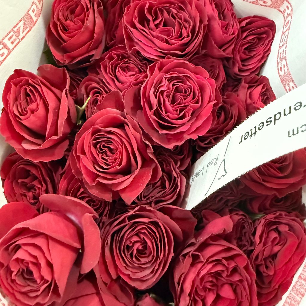 image_33126122-13E9-4BBD-8322-D512D66EF8FF_1770099997