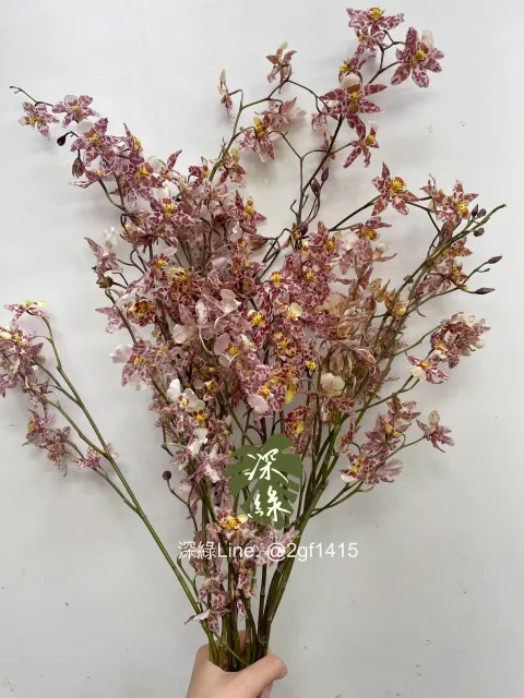 image_0553B236-BA79-4989-9E75-71B3AC780B85_1754446170