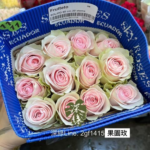 image_A99C0C6F-4729-4E4D-8C81-28CE68E8F1E3_1770546762