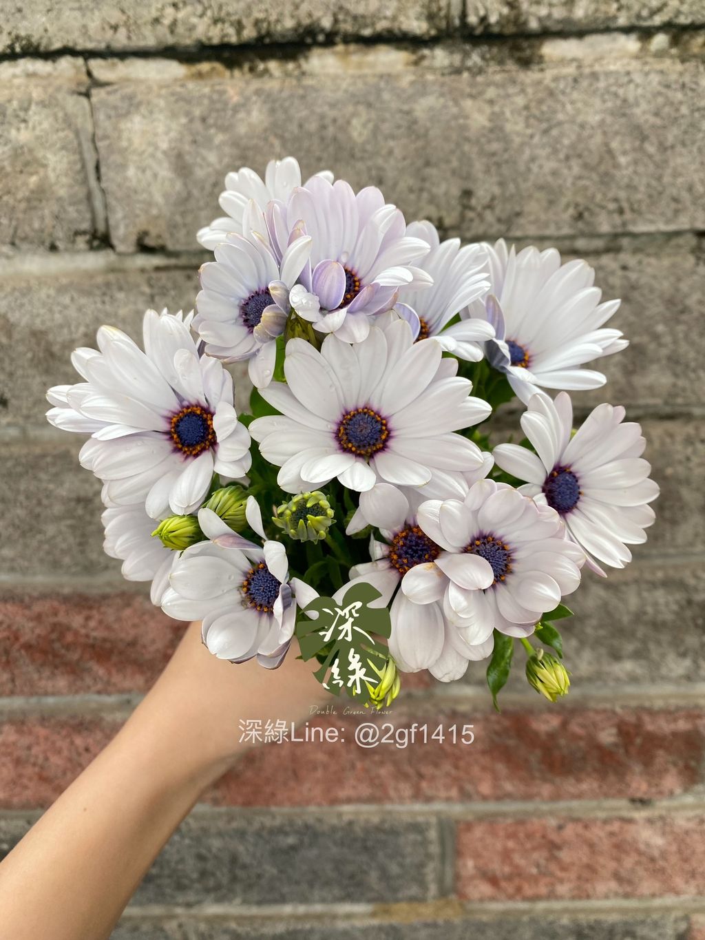 image_7718E8FD-2E2E-4C98-9D54-CF45BEEFF39B_1770015787