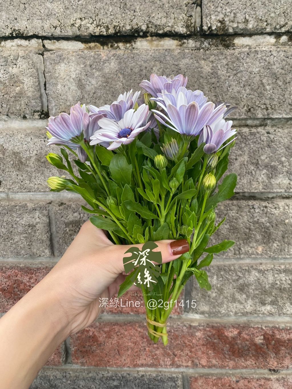 image_A998E1FA-FEBE-4AB3-AB97-3E543E354076_1770015787