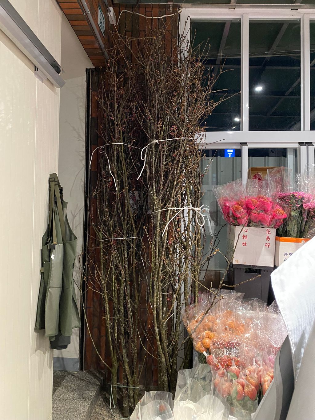 image_D8E12205-DEF3-494A-A955-C3C708B576A0_1770652591