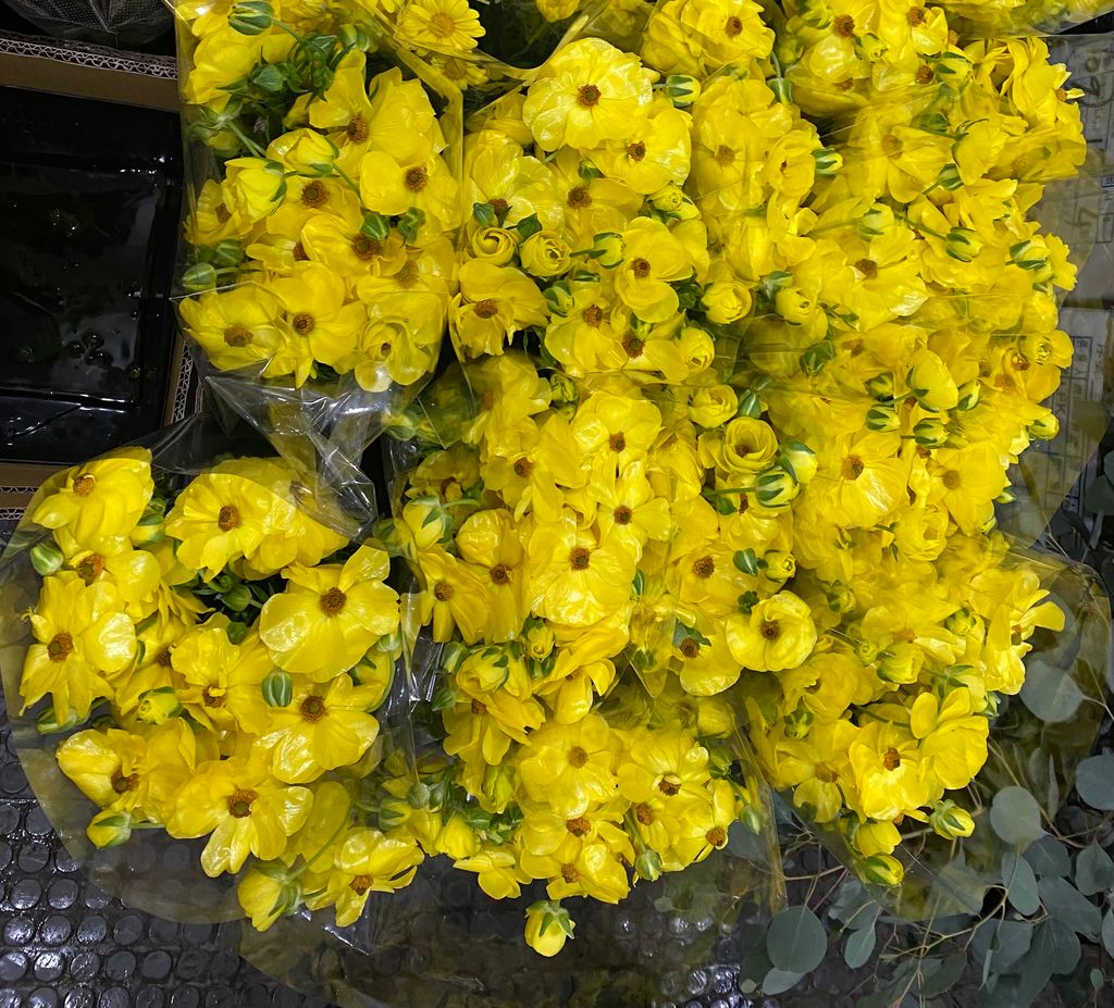 4726F3DA-8AA1-4834-A765-D586CFC6EC1F