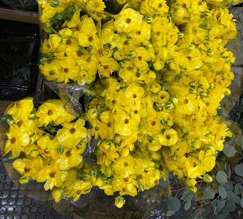 4726F3DA-8AA1-4834-A765-D586CFC6EC1F