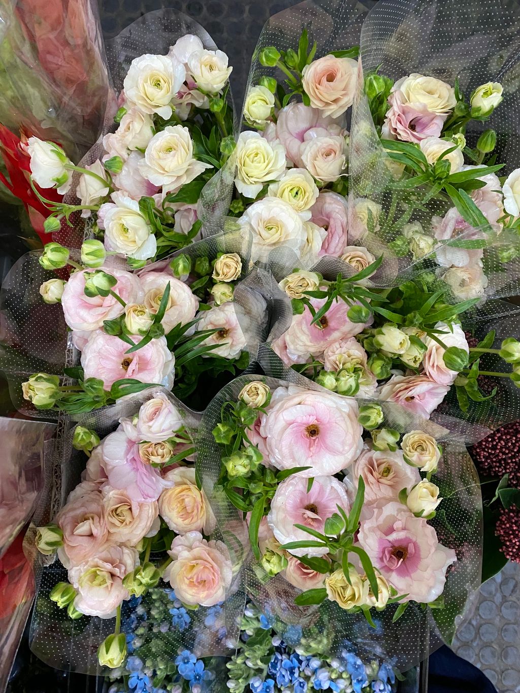 D139C594-2AC2-4DFF-AE39-F84C34AFC04D