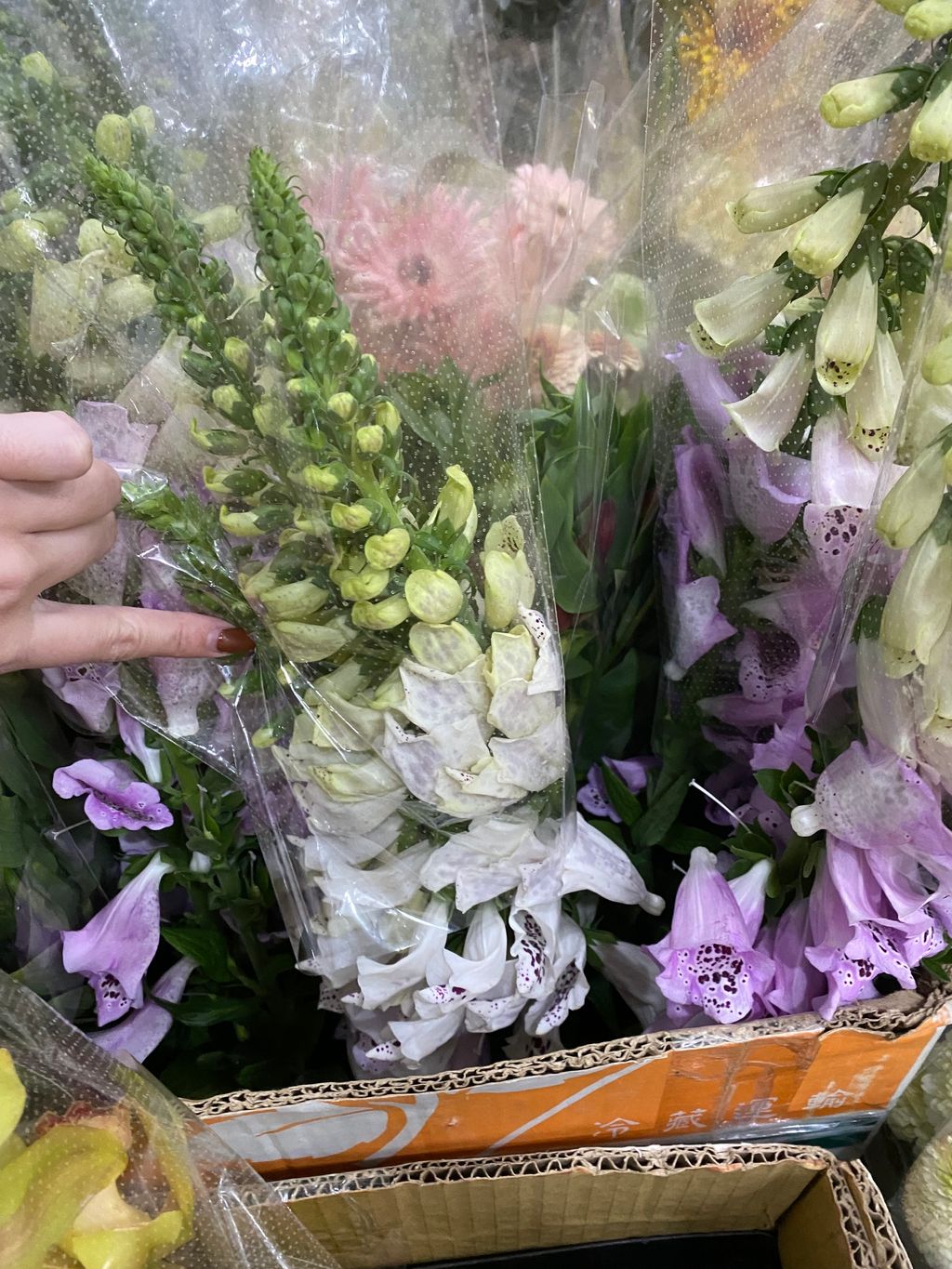 CB38CAC6-6E6C-4DC8-AE40-C52422681FC2