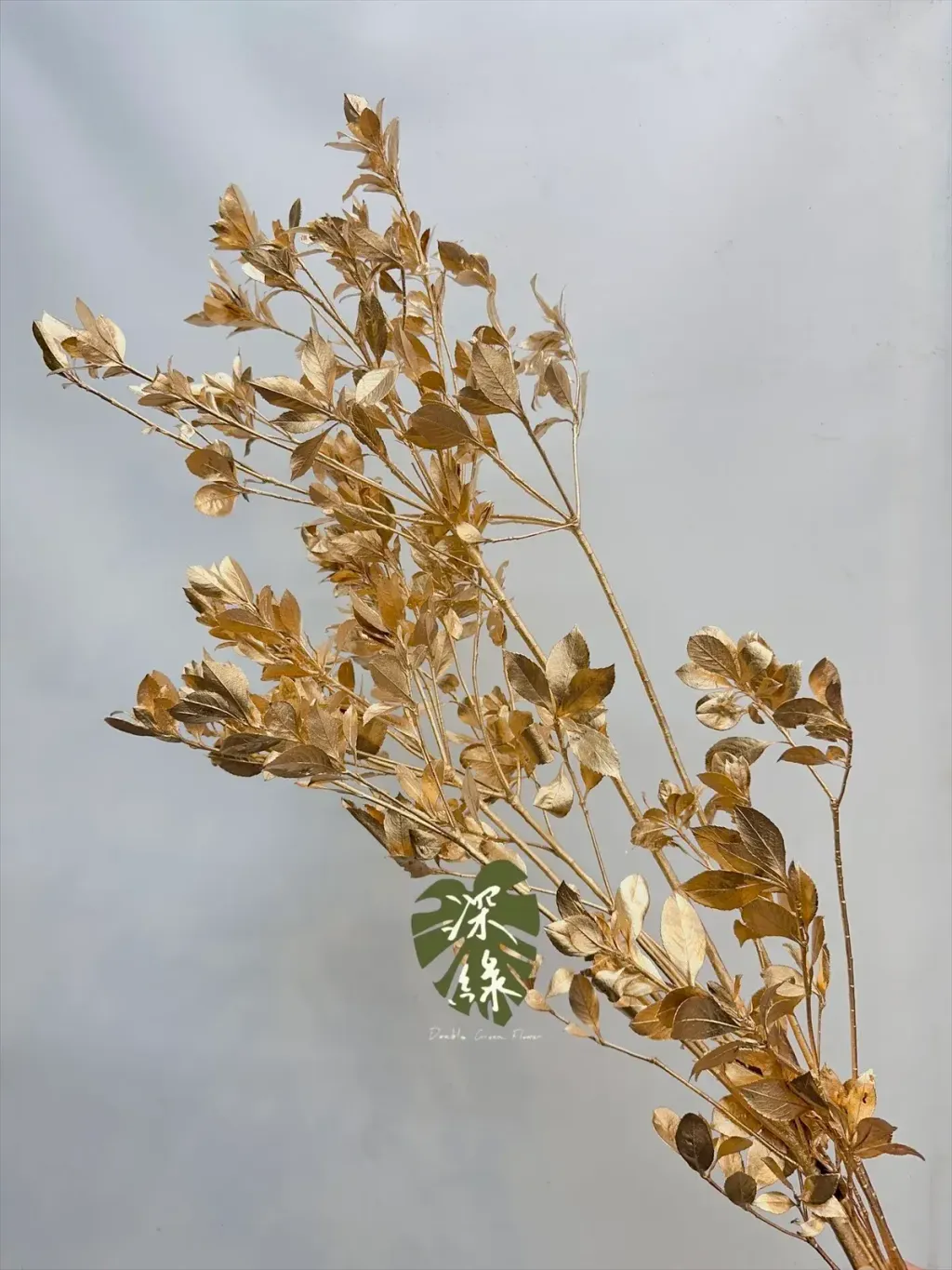 image_769C29D9-BFD7-4CFB-BE33-9914A29B3441_1767437563