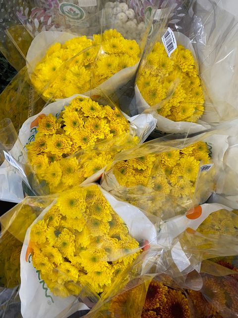 image_D82A1A25-7FAF-45E3-A42B-25069AFB7DC4_1770893603