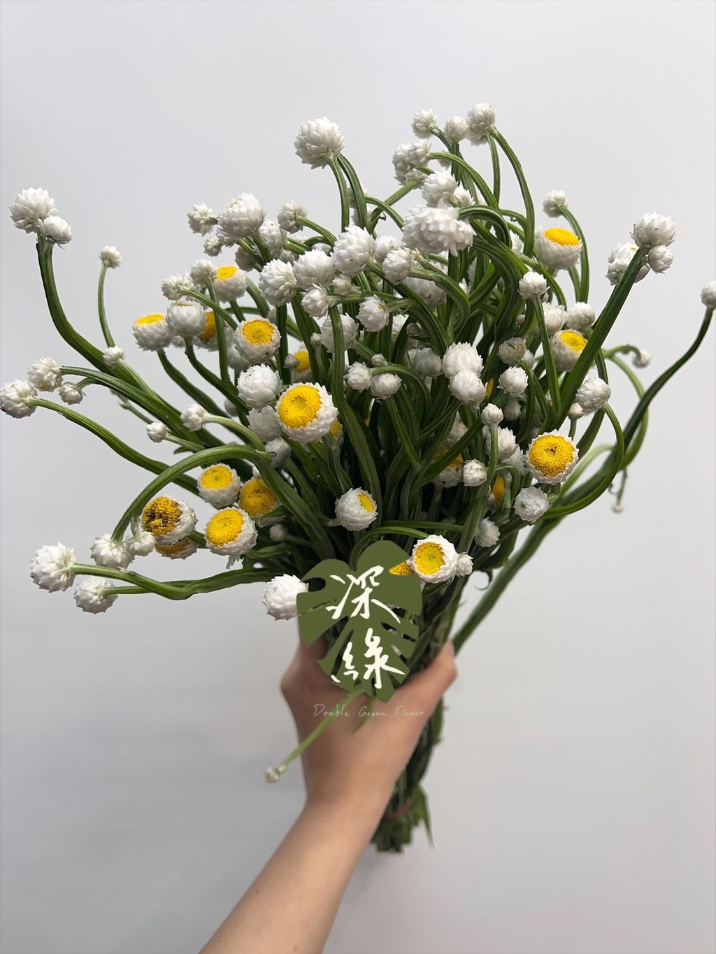 image_1C08254F-FAB6-4F4C-8983-1D9F4984DF92_1771722495