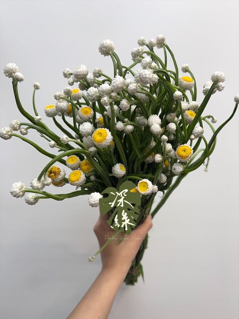 image_1C08254F-FAB6-4F4C-8983-1D9F4984DF92_1771722495