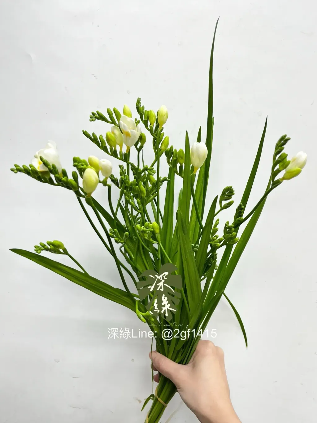 IMG_3196-1738552095563