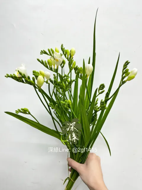 IMG_3196-1738552095563