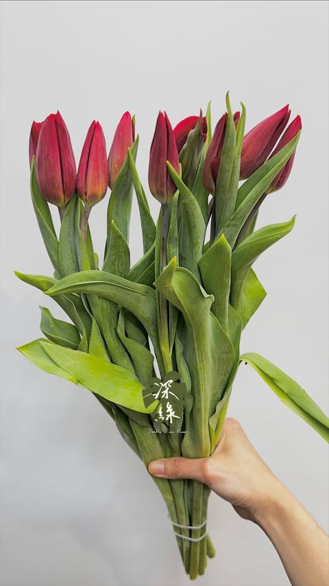 image_F923140E-0082-4E7A-AE7B-952C5EAD4B14_1771816313