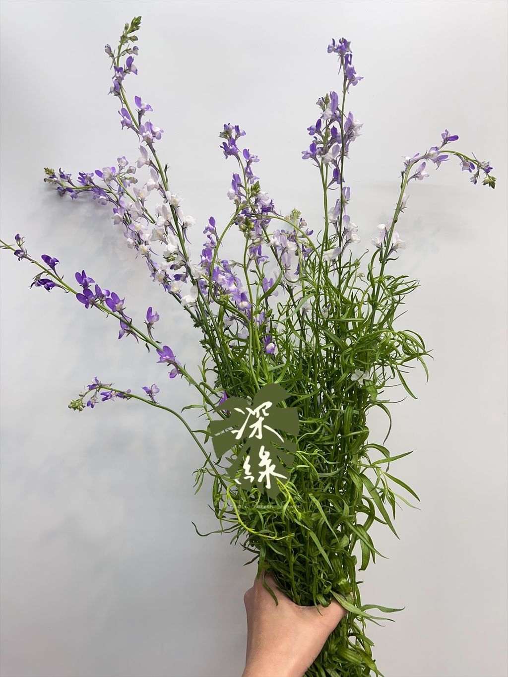 image_FF667DA4-5C42-4D40-9785-D40625D1DAD3_1771823997