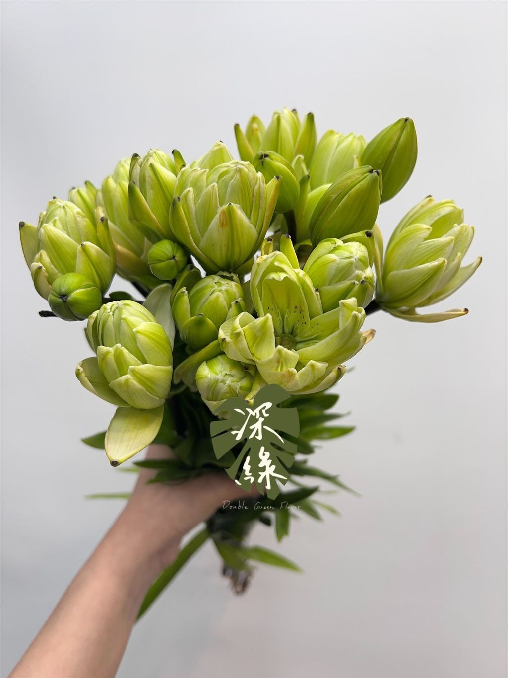 image_5920929D-1E54-4098-9EC1-126075D607FB_1771903199