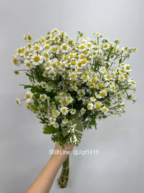 eZy Watermark_06-06-2024_03-30-09-1770下午-1717660008747