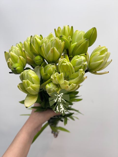 image_5920929D-1E54-4098-9EC1-126075D607FB_1771903199