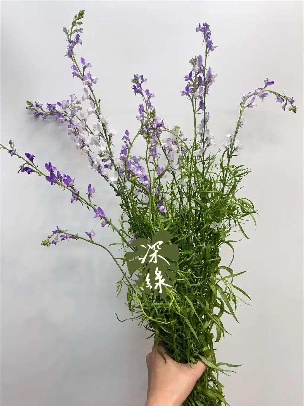 image_FF667DA4-5C42-4D40-9785-D40625D1DAD3_1771823997