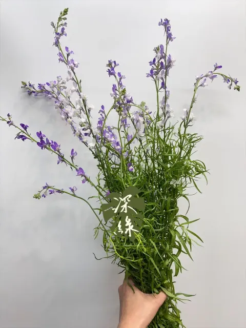 image_FF667DA4-5C42-4D40-9785-D40625D1DAD3_1771823997