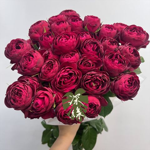 image_CC5E5B30-345C-4A43-A540-BD374E68F818_1772072971