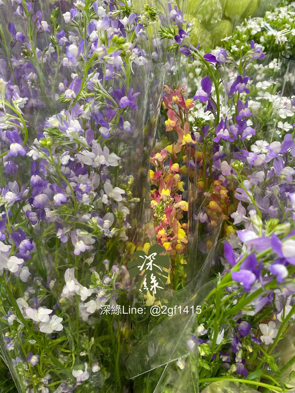 image_EBC498F5-6F64-47FF-B079-B62FAF15CAFF_1772147646