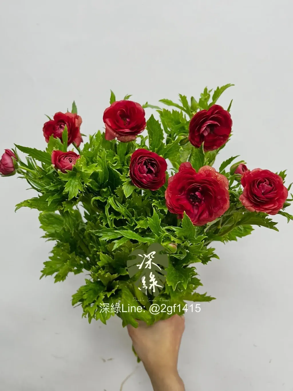 IMG_3287-1738901465069