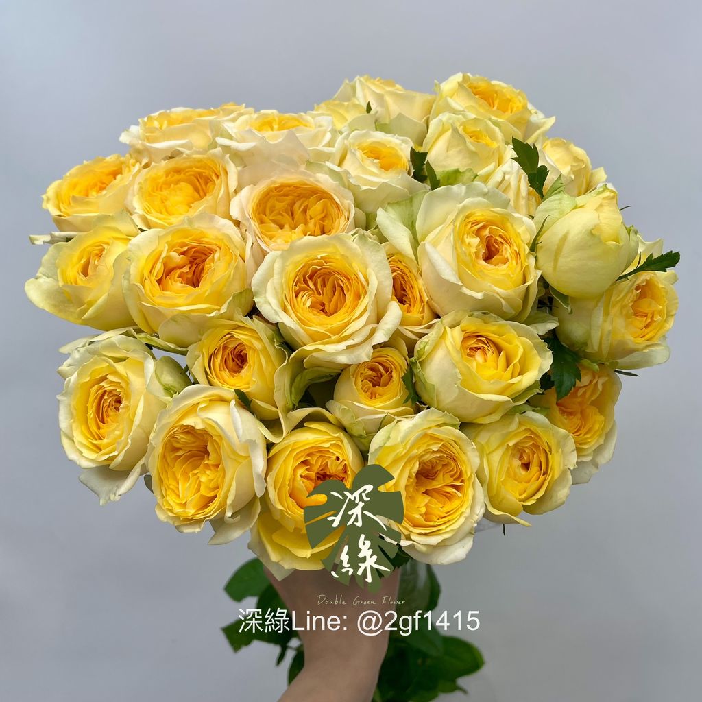 image_9E40A906-2CD1-4D74-A22F-F93BB85E4203_1772161869