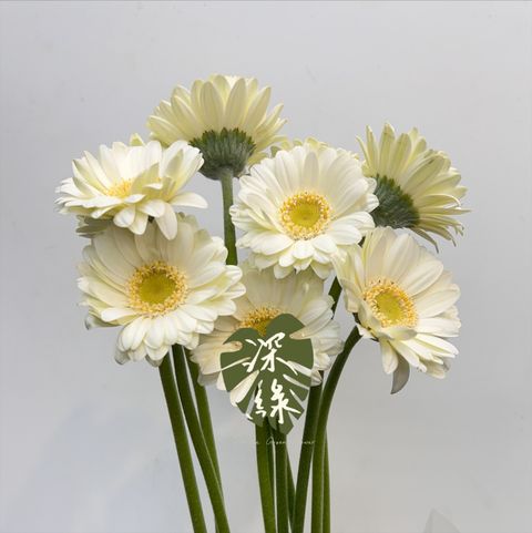 image_48313FE5-6DAA-45B1-9818-EABECA1C75AD_1772162156