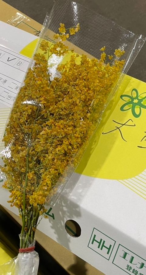 image_45C2562A-BFE8-437D-8E1F-70E643EB3AB7_1772335338