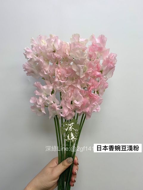 F2ED5E81-6BE6-4125-9D76-646496E3BE2E