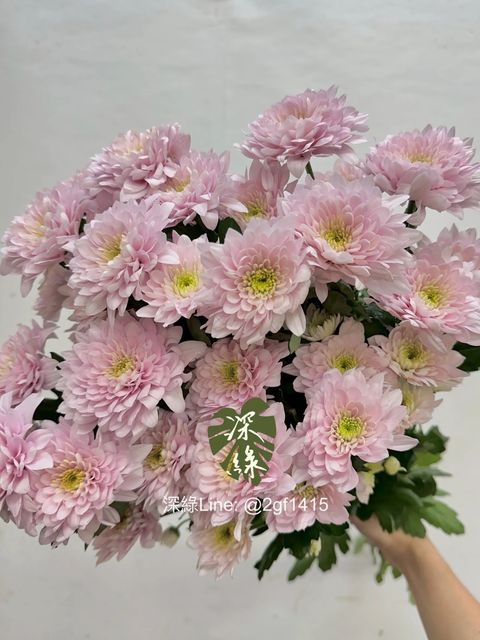 messageImage_1772340069237