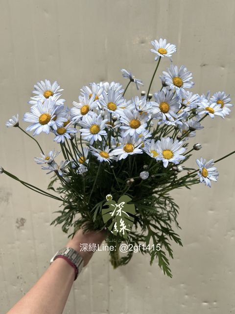 messageImage_1772341420065