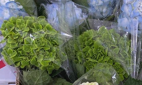 F77558B4-DCEF-4DBF-B20F-C85A03DF8F21