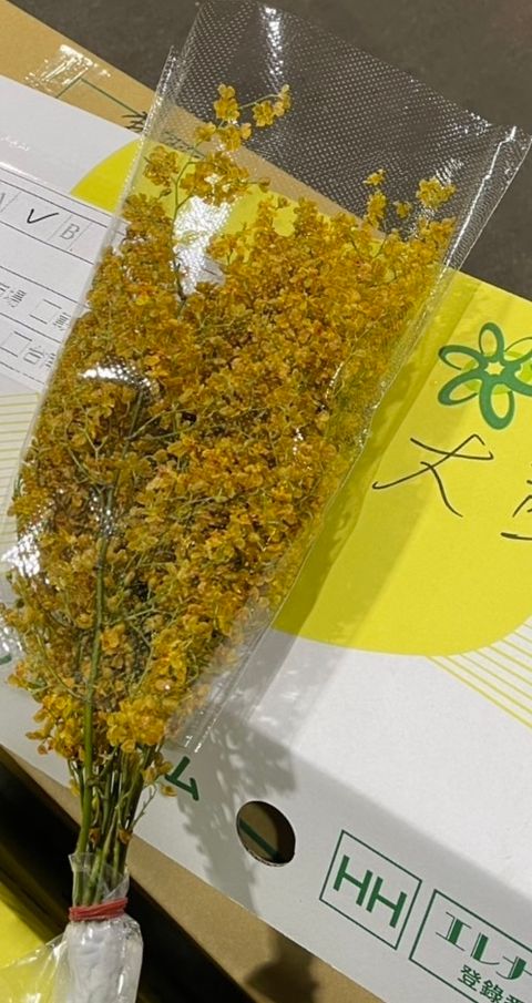 image_45C2562A-BFE8-437D-8E1F-70E643EB3AB7_1772335338