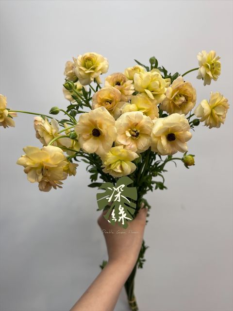 image_FC5C96B3-0793-4D17-8BC7-9EFC34871369_1772419870