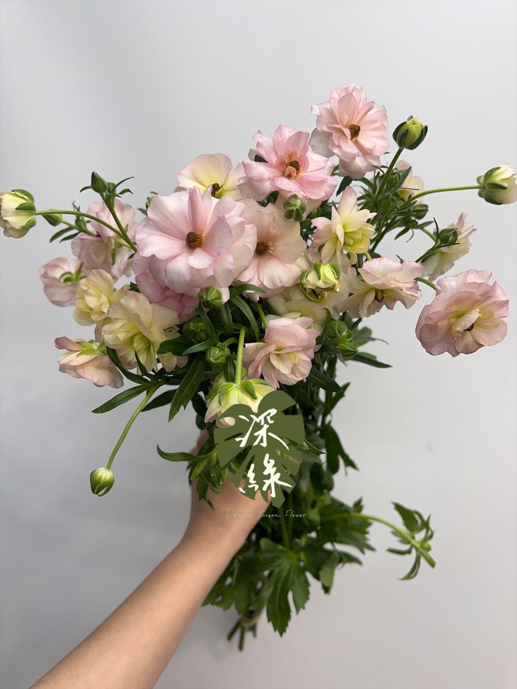 image_48E7888F-7117-44B3-8E95-37A49EDE3E5E_1772419879