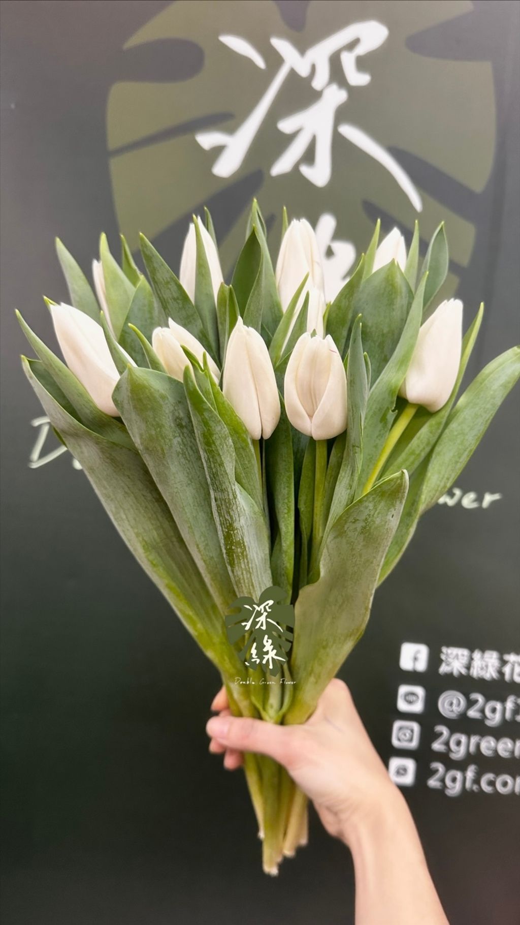 image_F8FE9984-096E-4B95-92BE-B22213831945_1772429031