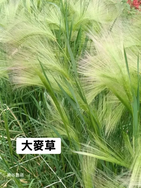 image_1B978446-939E-49CF-A2DF-B8FD5B430797_1772421711