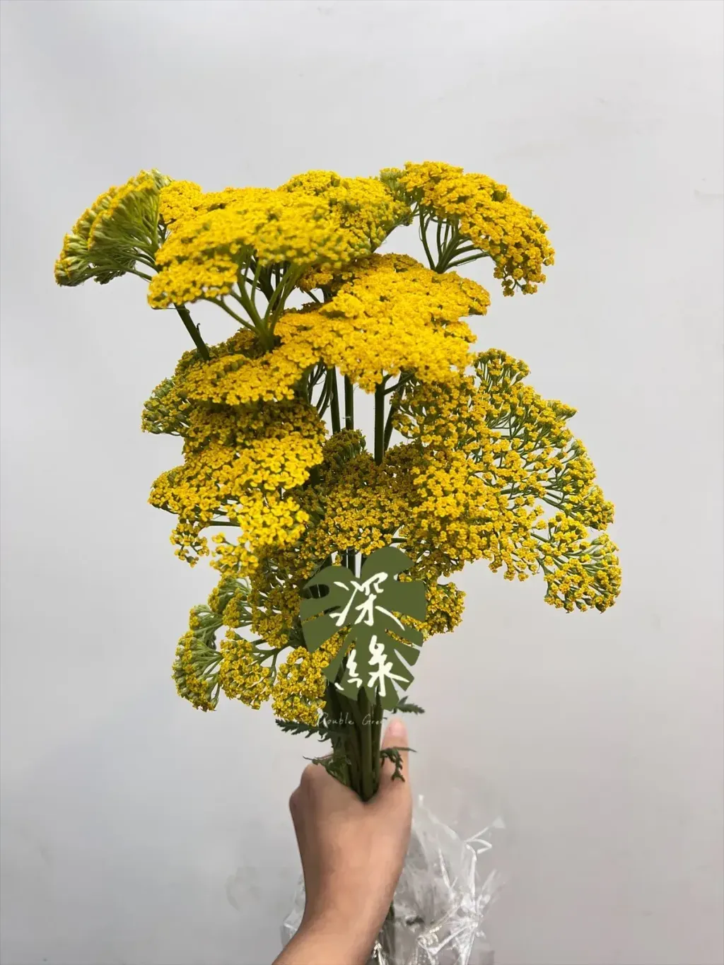 image_14838310-921C-4698-BCDB-D3653913B99E_1770085130