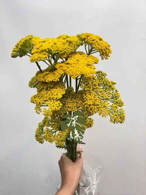 image_14838310-921C-4698-BCDB-D3653913B99E_1770085130