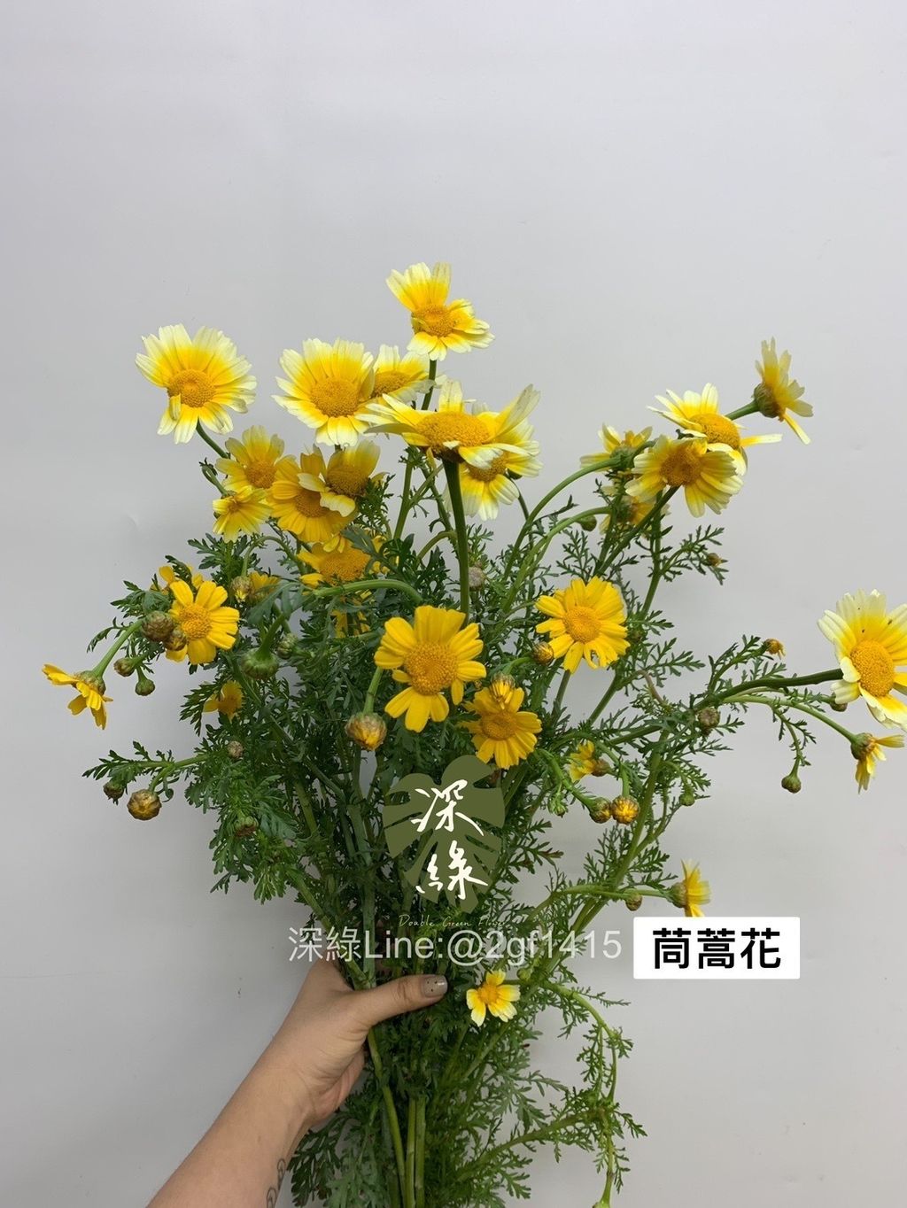 178D0125-ABD9-4624-A692-A3D9142C90E2