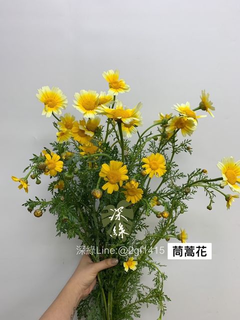 178D0125-ABD9-4624-A692-A3D9142C90E2